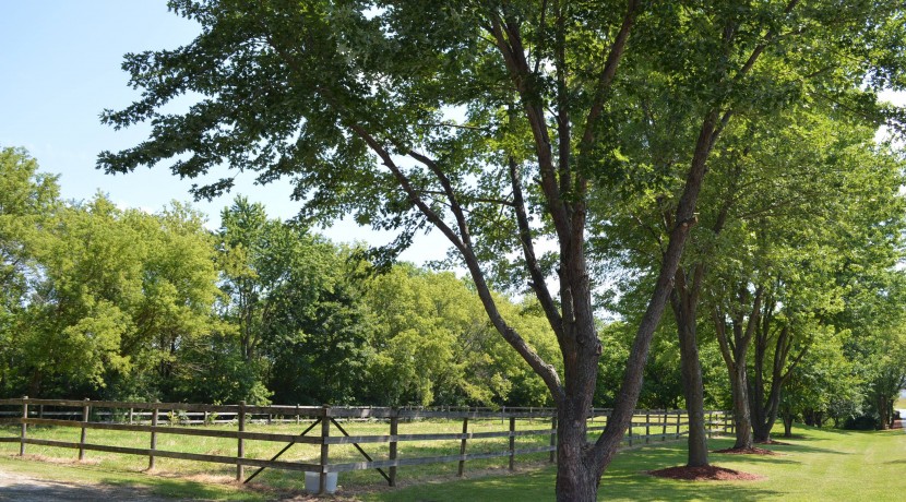 View of pasture from front of home